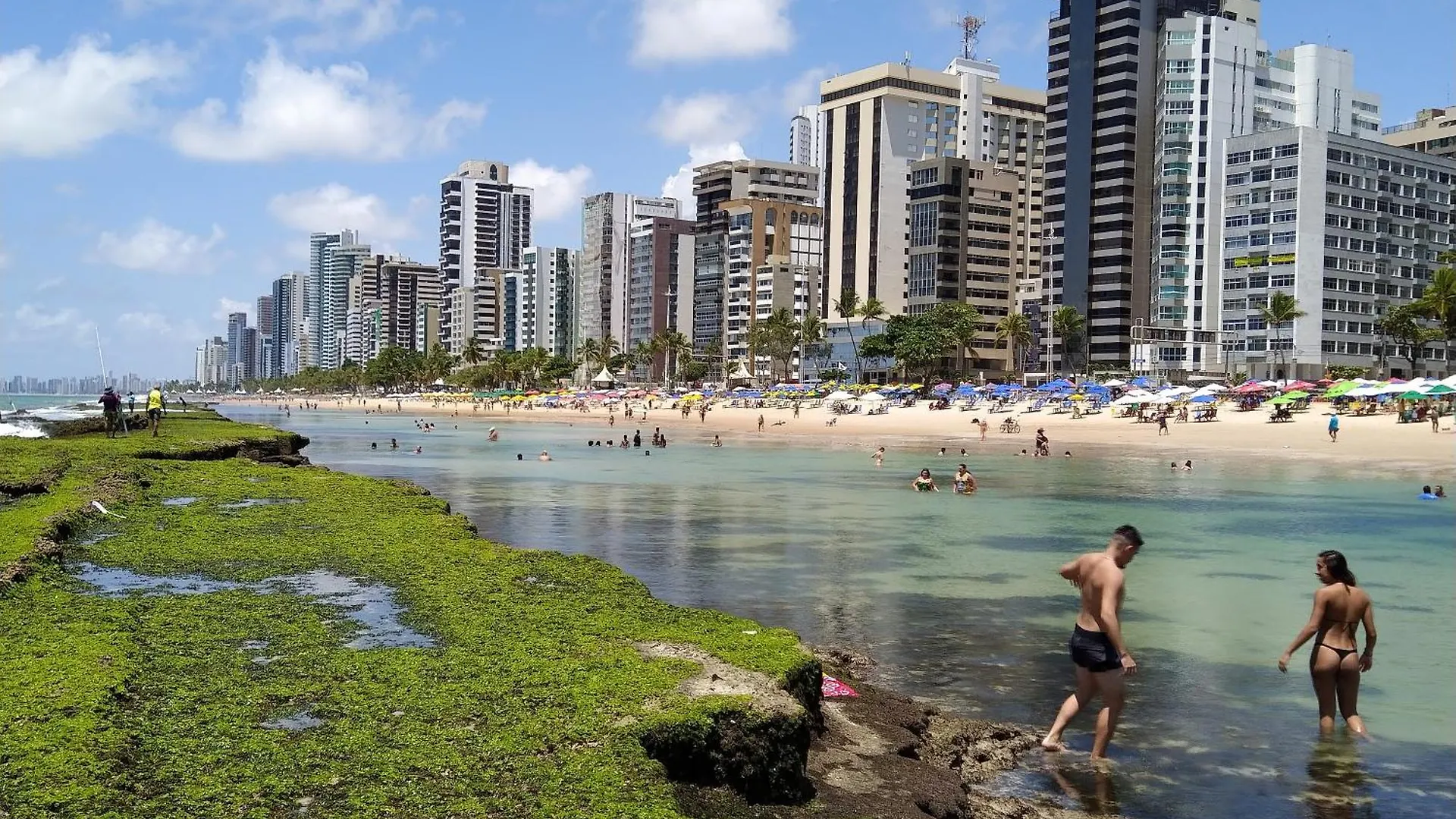 Apartamento Aconchegante Bem Localizado Recife Brasil